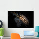 Donut Nudibranch Tulamben Bali Wall Decal