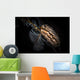 Donut Nudibranch Tulamben Bali Wall Decal