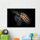 Donut Nudibranch Tulamben Bali Wall Decal