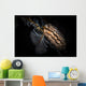 Donut Nudibranch Tulamben Bali Wall Decal