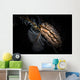 Donut Nudibranch Tulamben Bali Wall Decal