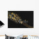 Pair Doto Nudibranchs Tulamben Wall Decal