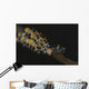 Pair Doto Nudibranchs Tulamben Wall Decal