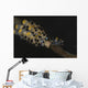 Pair Doto Nudibranchs Tulamben Wall Decal