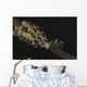 Pair Doto Nudibranchs Tulamben Wall Decal