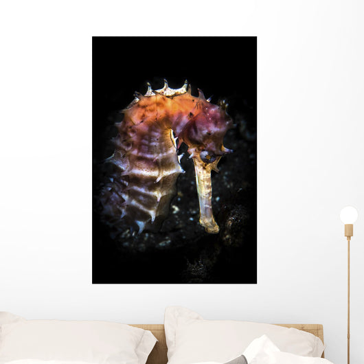 Seahorse Lit with Snoot Wall Decal