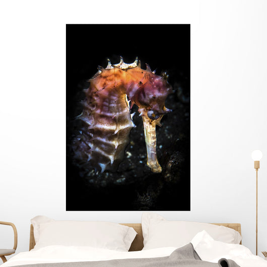 Seahorse Lit with Snoot Wall Decal