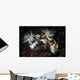 These Hypselodoris Nudibranchs Carry Wall Decal