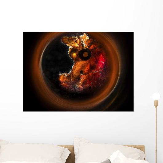 Backlit Rhinopias Framed with Wall Decal