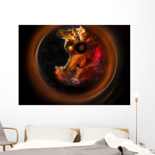 Backlit Rhinopias Framed with Wall Decal