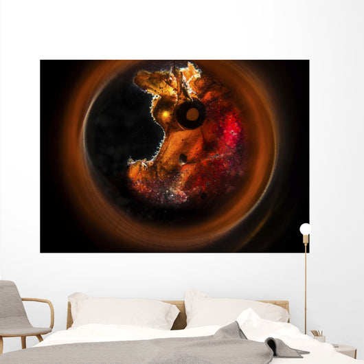 Backlit Rhinopias Framed with Wall Decal