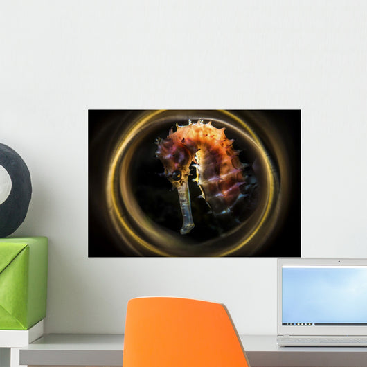 Thorny Seahorse Is Framed Wall Decal