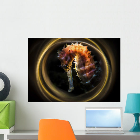 Thorny Seahorse Is Framed Wall Decal
