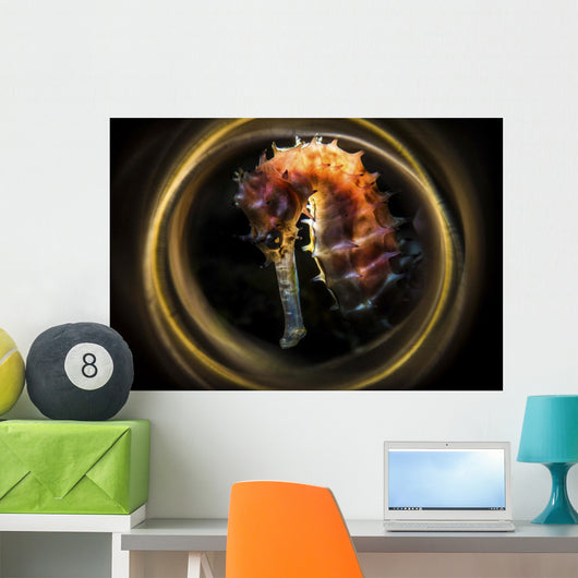 Thorny Seahorse Is Framed Wall Decal