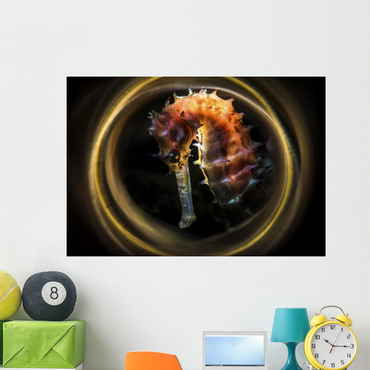 Thorny Seahorse Is Framed Wall Decal