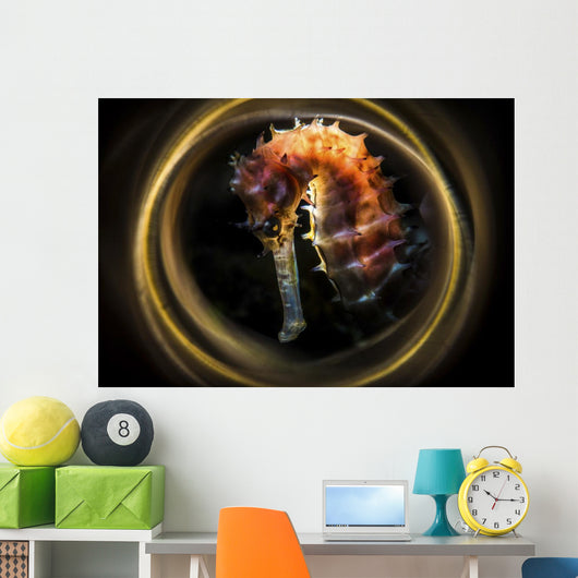 Thorny Seahorse Is Framed Wall Decal