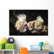 Two Nudibranchs with Two Wall Decal