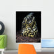 Marbled Snake Eel Tulamben Wall Decal
