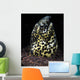 Marbled Snake Eel Tulamben Wall Decal