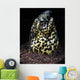 Marbled Snake Eel Tulamben Wall Decal