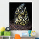 Marbled Snake Eel Tulamben Wall Decal