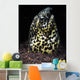 Marbled Snake Eel Tulamben Wall Decal