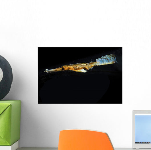 Ghost Pipefish Hovers above Wall Decal