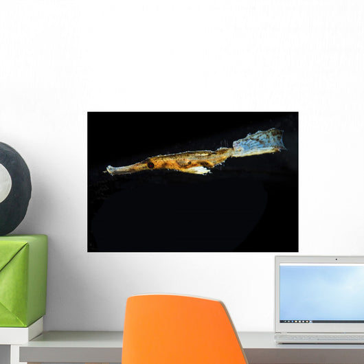 Ghost Pipefish Hovers above Wall Decal