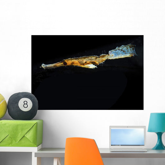 Ghost Pipefish Hovers above Wall Decal