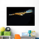 Ghost Pipefish Hovers above Wall Decal
