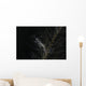 Skeleton Shrimp Wall Decal