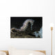 White Thorny Seahorse Anilao Wall Decal