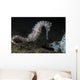 White Thorny Seahorse Anilao Wall Decal