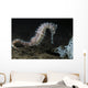 White Thorny Seahorse Anilao Wall Decal