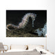 White Thorny Seahorse Anilao Wall Decal
