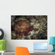 Sea Slug Its Natural Wall Decal