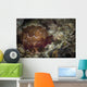 Sea Slug Its Natural Wall Decal