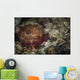 Sea Slug Its Natural Wall Decal