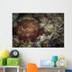 Sea Slug Its Natural Wall Decal
