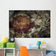 Sea Slug Its Natural Wall Decal