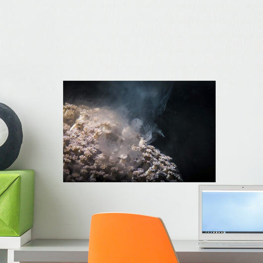 Soft Coral Spawning Anilao Wall Decal