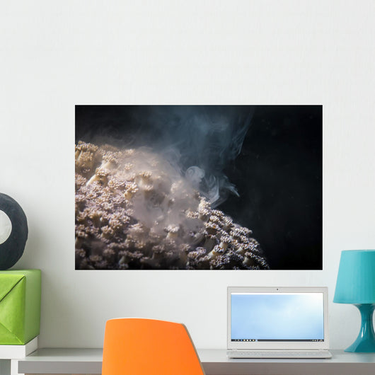 Soft Coral Spawning Anilao Wall Decal