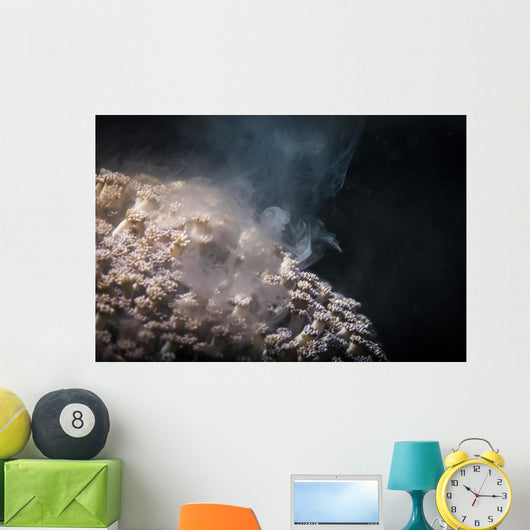 Soft Coral Spawning Anilao Wall Decal