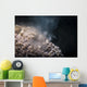Soft Coral Spawning Anilao Wall Decal