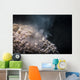 Soft Coral Spawning Anilao Wall Decal