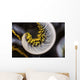 Curled Arm Crinoid Anilao Wall Decal