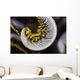 Curled Arm Crinoid Anilao Wall Decal
