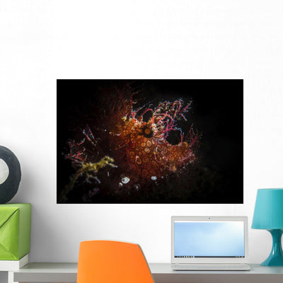 Rhinopias Frondosa Backlit with Wall Decal shown on a wall