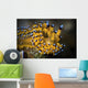 Janolus Nudibranch Anilao Philippines Wall Decal