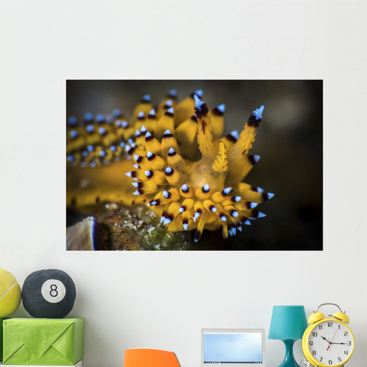 Janolus Nudibranch Anilao Philippines Wall Decal